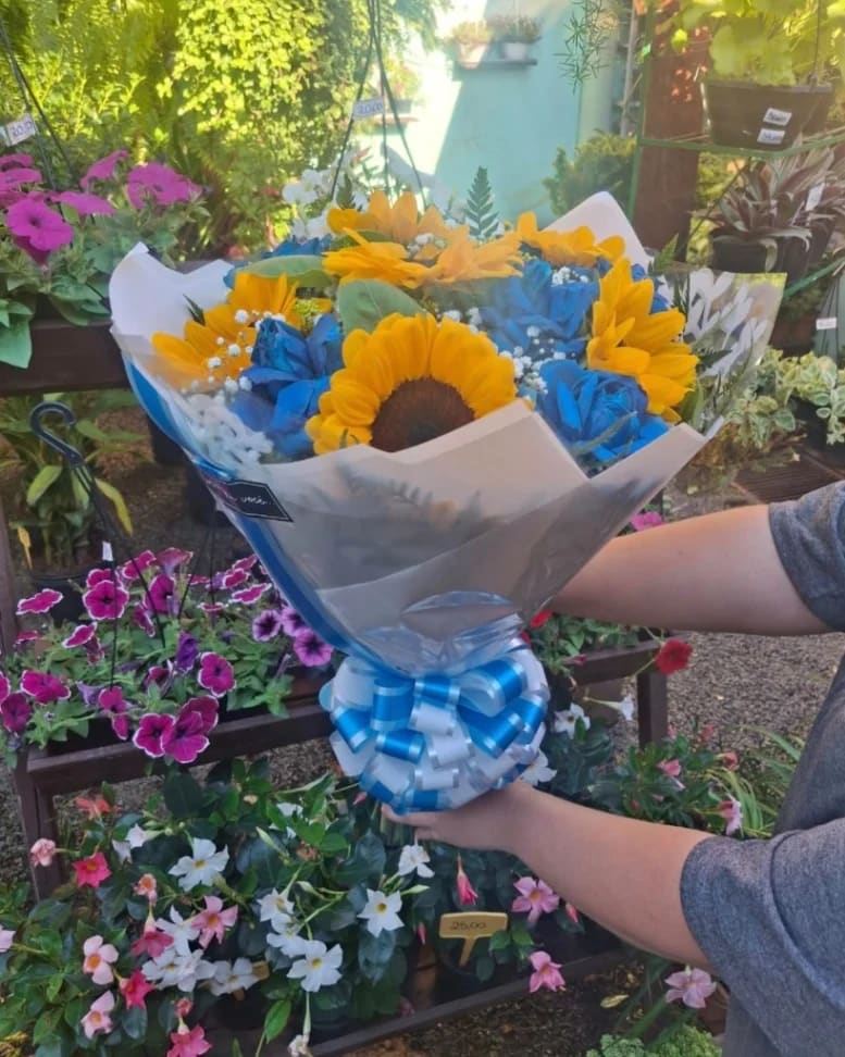 Sunshine & Blue