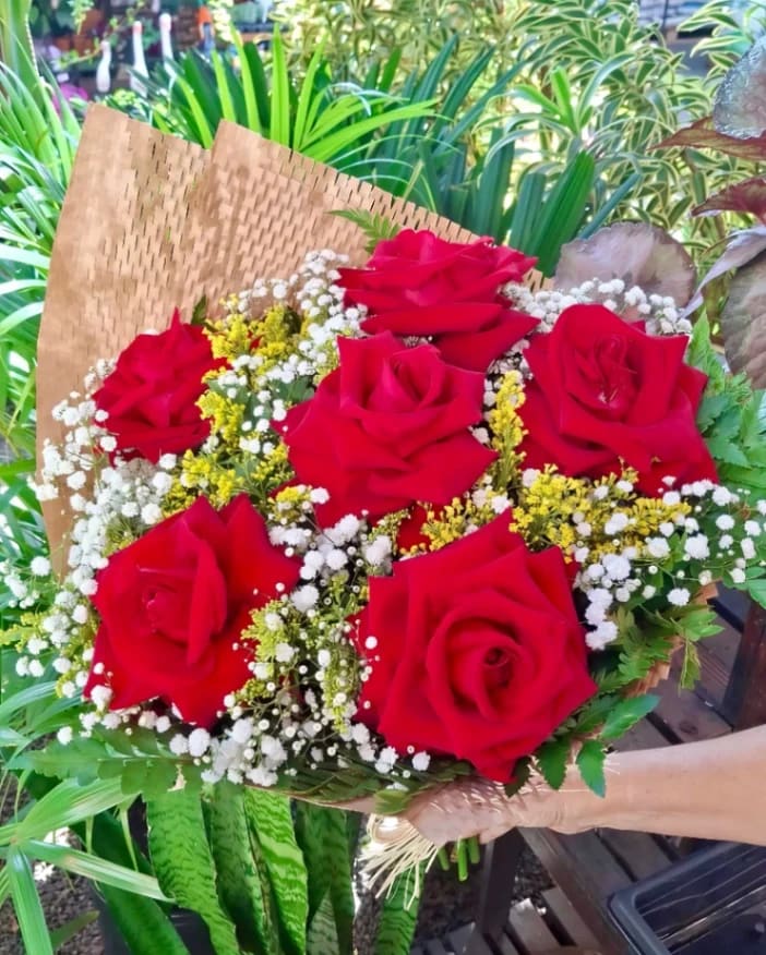 Rosas Deluxe