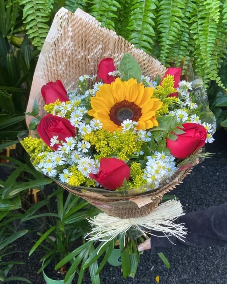 Harmonia Nobre